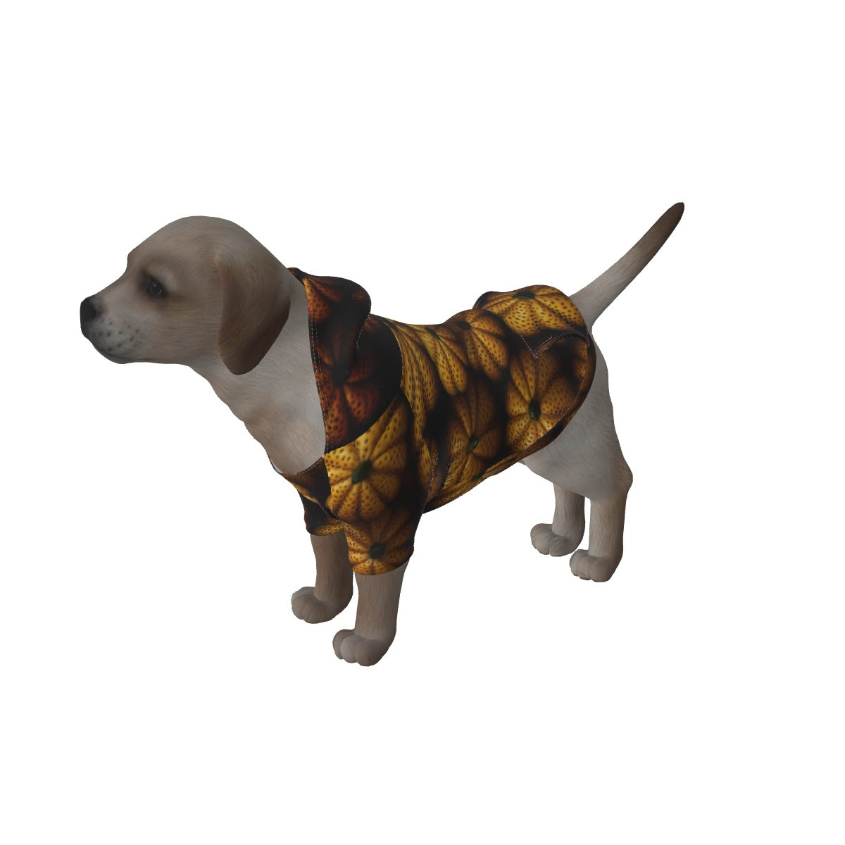 Dog's Pullover Hoodie